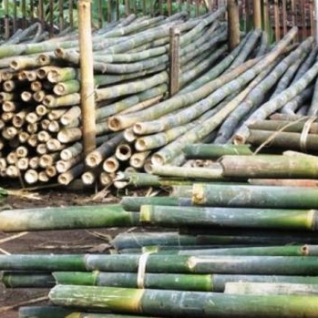 jual bambu di denpasar